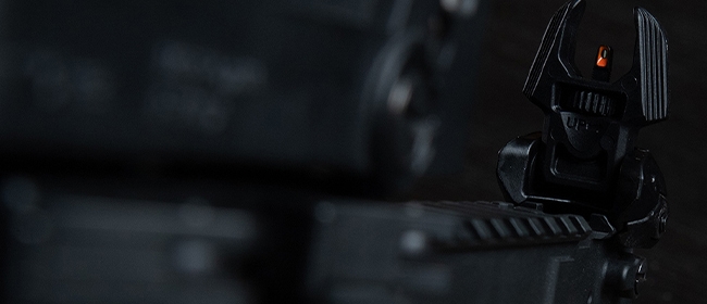 RIFLE / SHOTGUN SIGHTS